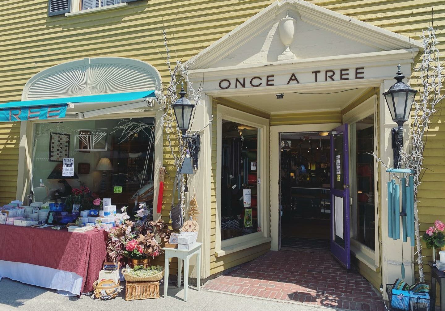 Once a Tree Once a Tree Once a Tree Once a Tree